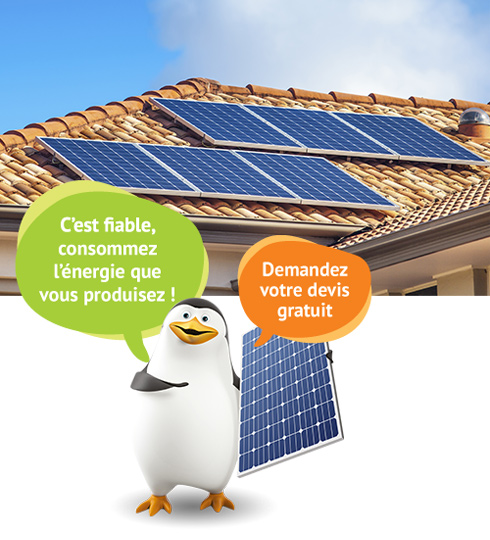 Photovoltaic  solar panels Var